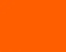 Orange Plastic Site Safety Mesh 1m x 50m